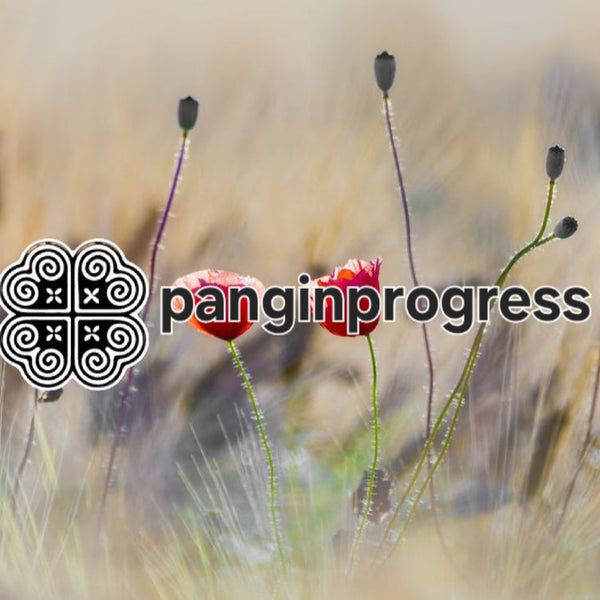 Panginprogress