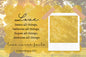 Magnet Display Card- Partner